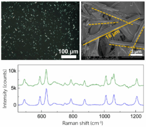 Diagnosing Gout at Point-of-Care with Raman Spectroscopy