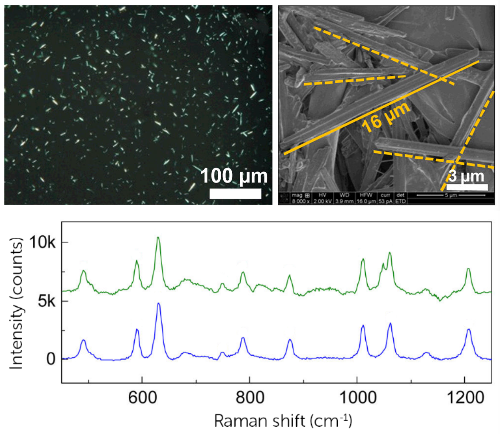 Diagnosing Gout at Point-of-Care with Raman Spectroscopy