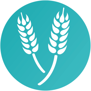 WP-app-icons-food-web